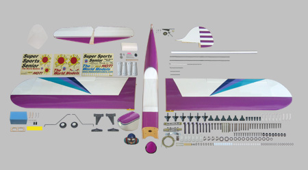 The World Models -RC Plane