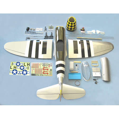 The World Models -RC Plane